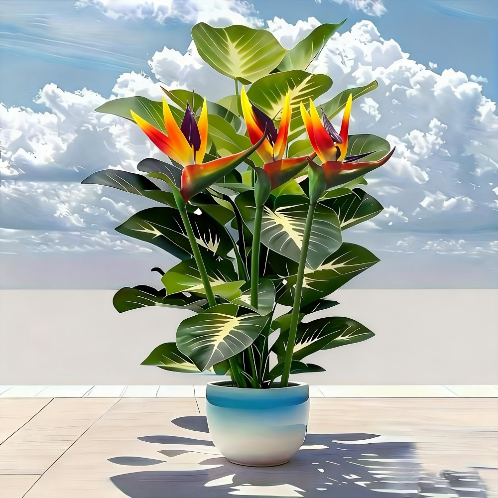 人工の極楽鳥花とポトスの植物、庭園、ショッピングセンター、ホ - Home Office Layout のレビューと価格